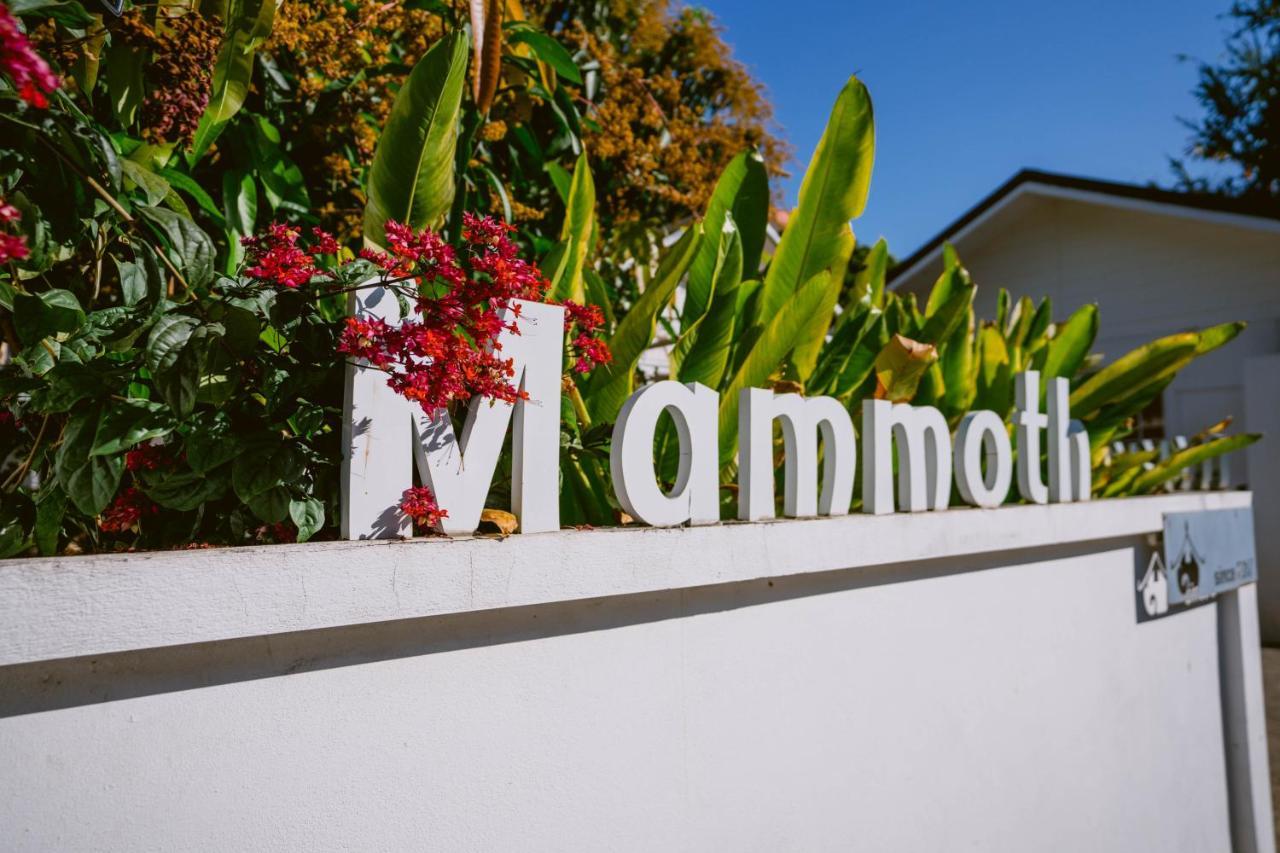 Mammoth Boutique Hotel Чиангмай Экстерьер фото
